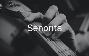 Senorita指弹吉他谱_肖恩_吉他独奏六线谱_高清指弹谱